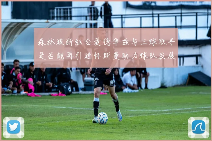 森林狼新组合爱德华兹与三球联手是否能再引进怀斯曼助力球队发展