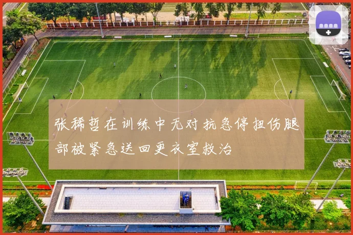 张稀哲在训练中无对抗急停扭伤腿部被紧急送回更衣室救治